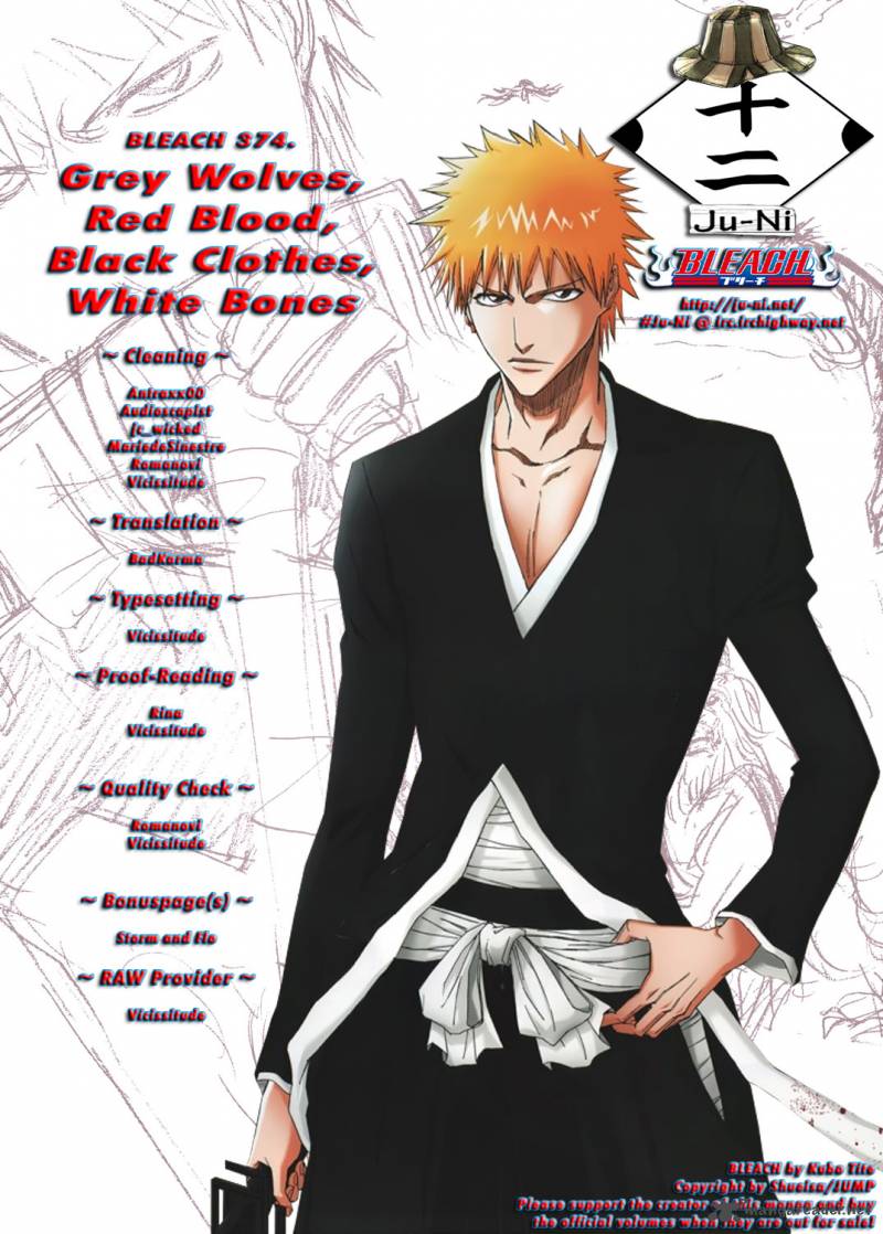 Bleach 374 2