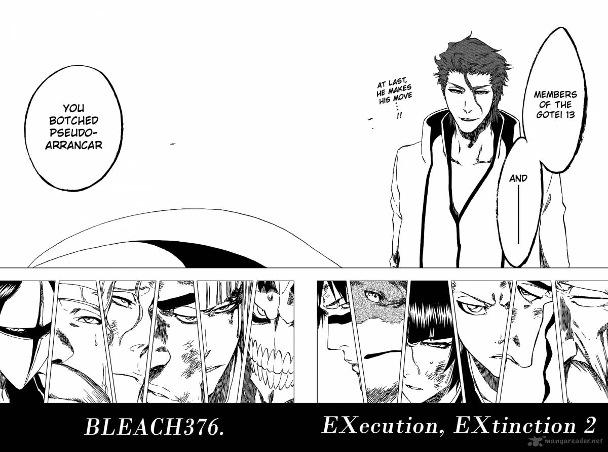Bleach 376 9