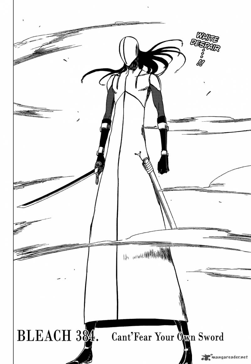 Bleach 384 7