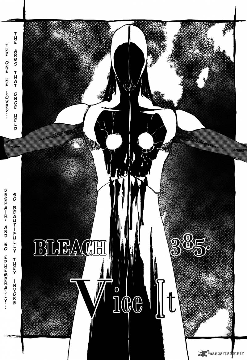 Bleach 385 6