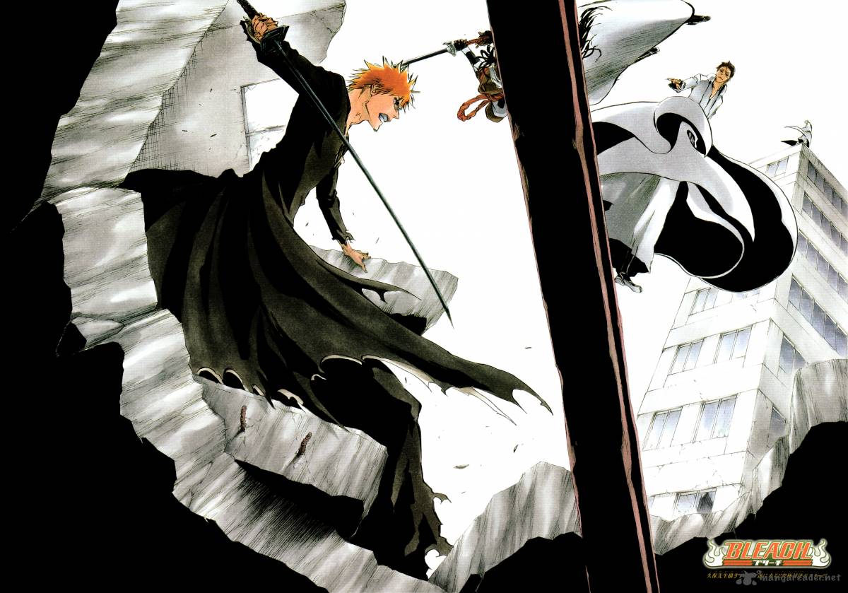 Bleach 386 23
