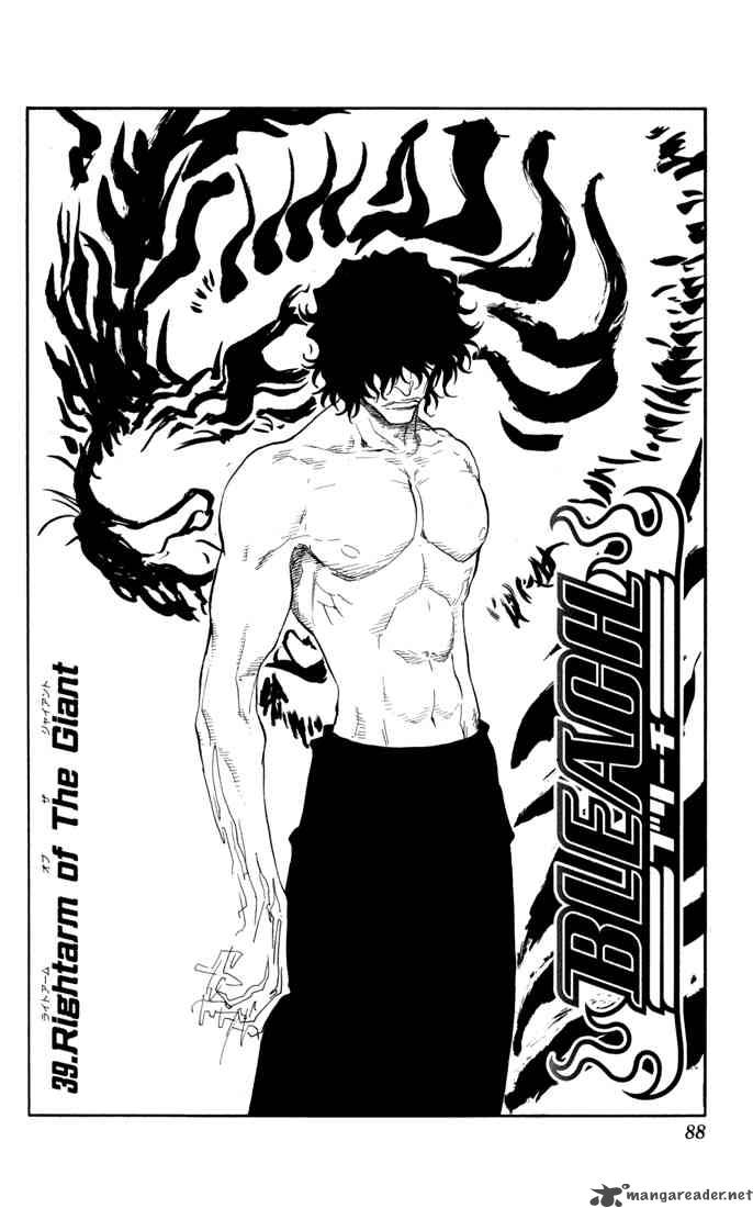 Bleach 39 3