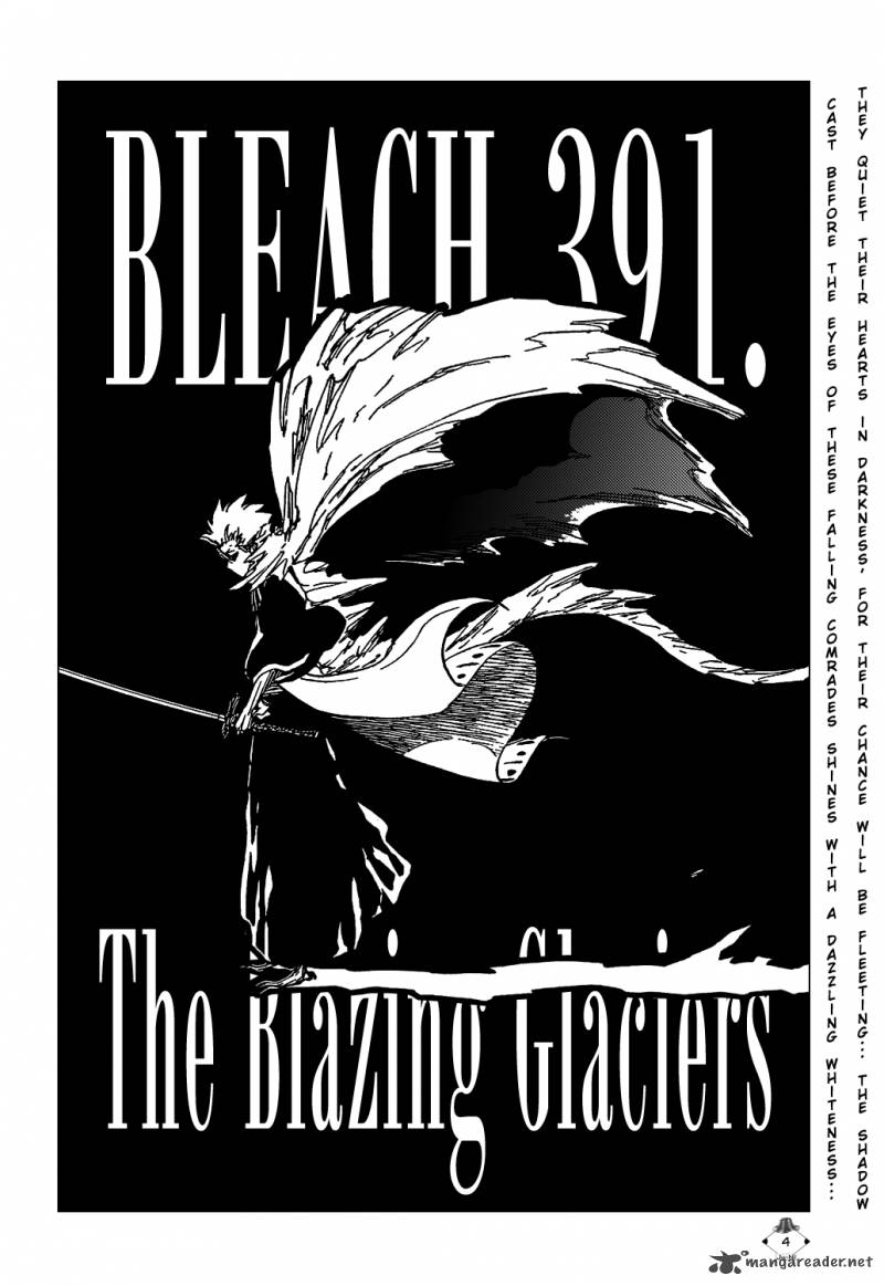 Bleach 391 7