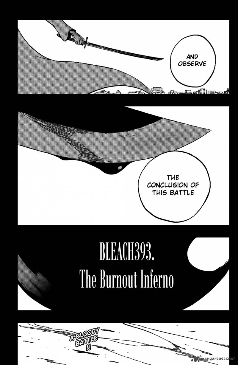 Bleach 393 6