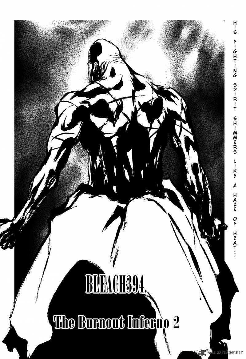 Bleach 394 7
