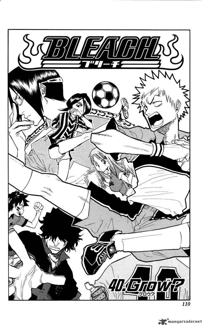 Bleach 40 5