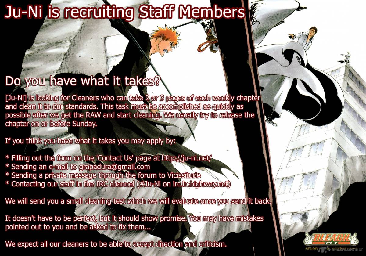 Bleach 403 2