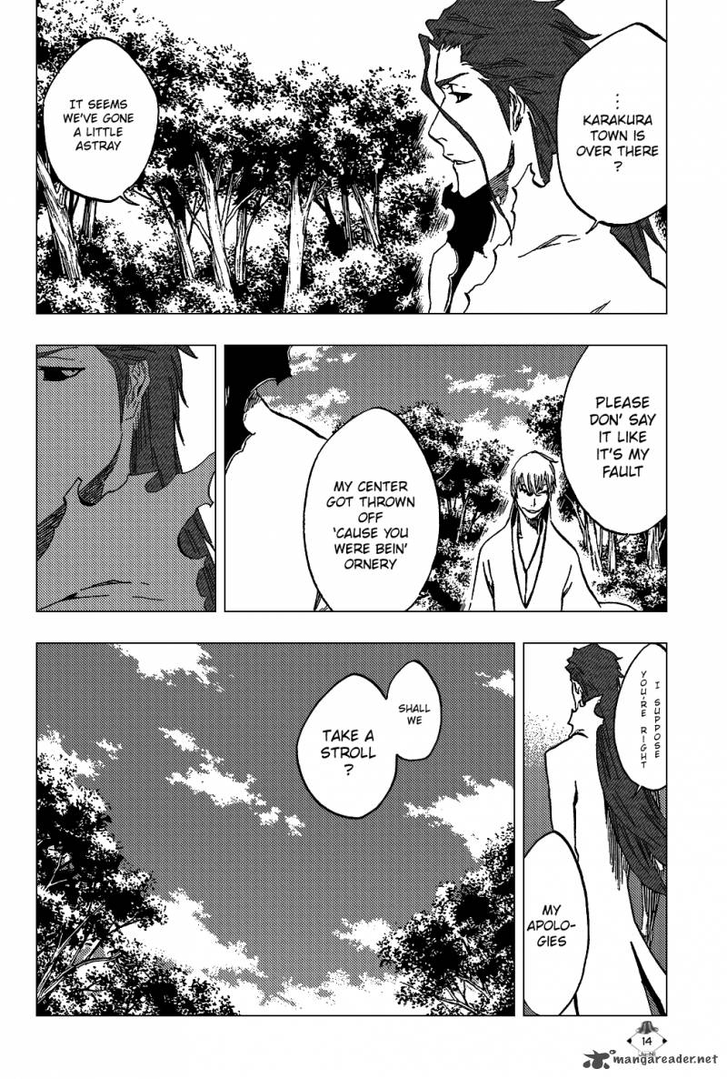 Bleach 407 17