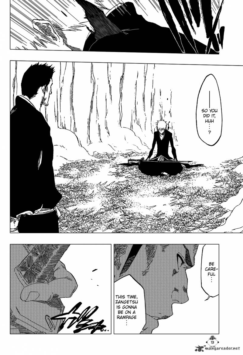 Bleach 409 15