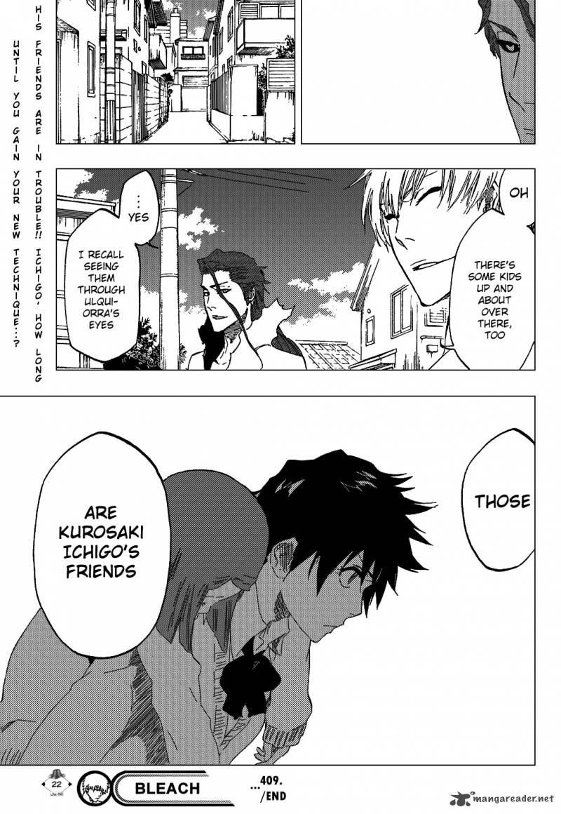 Bleach 409 24