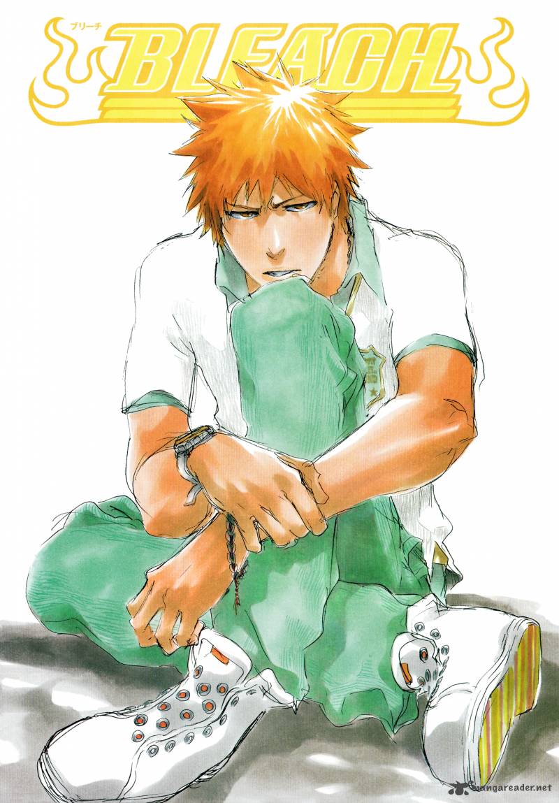 Bleach 411 24