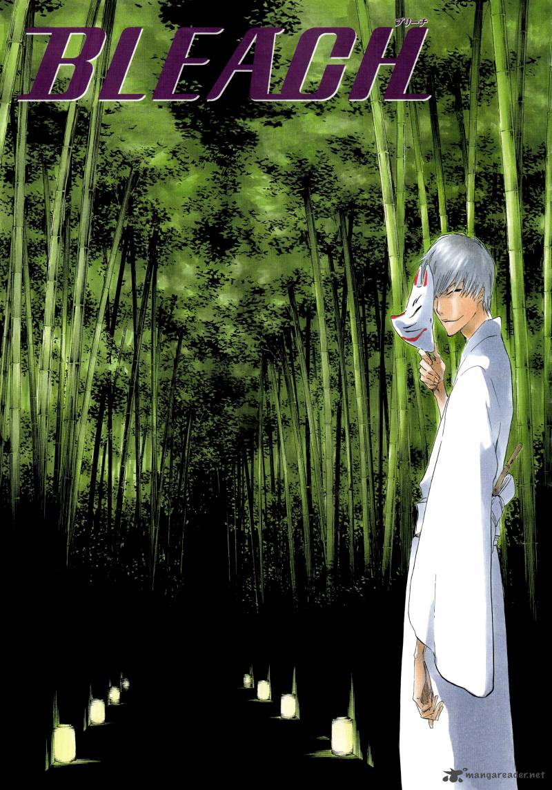 Bleach 414 24
