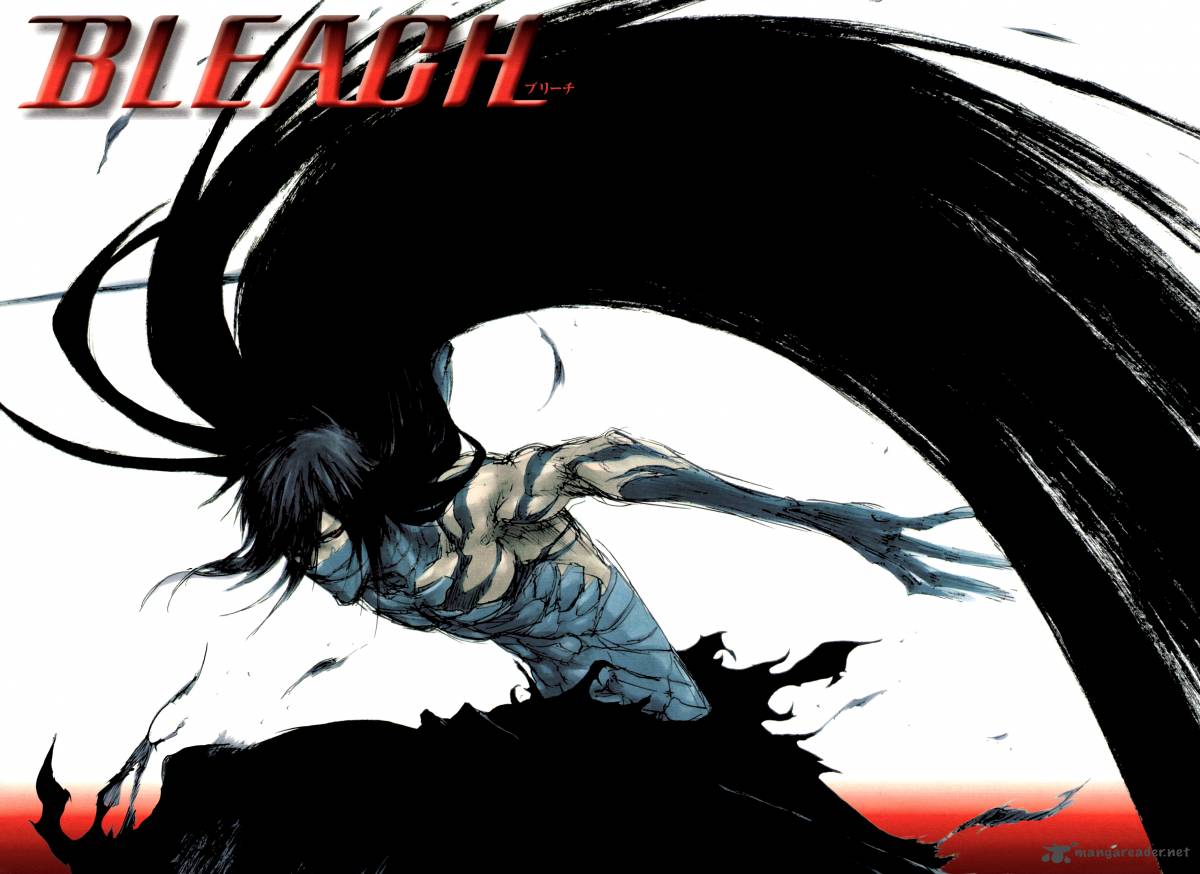 Bleach 421 25