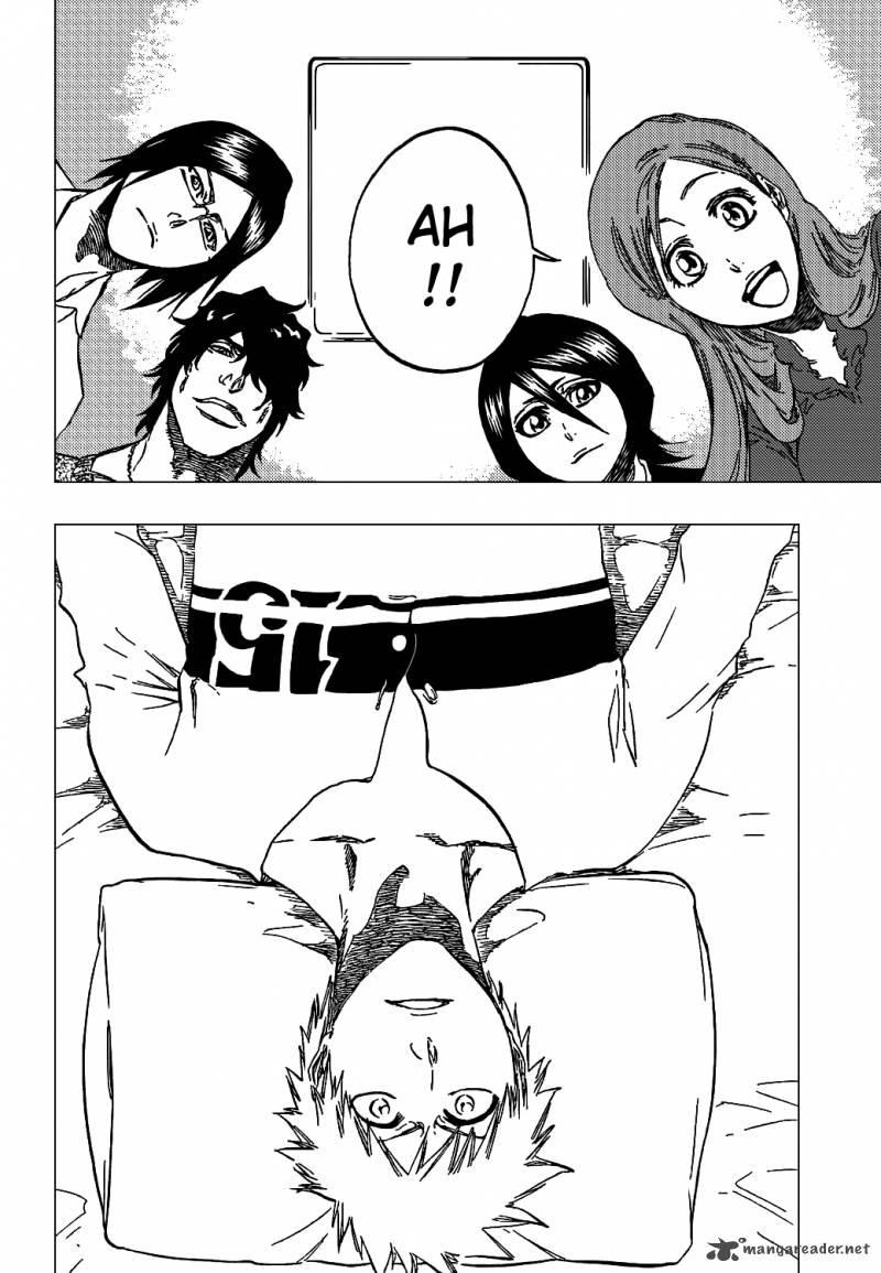 Bleach 423 15
