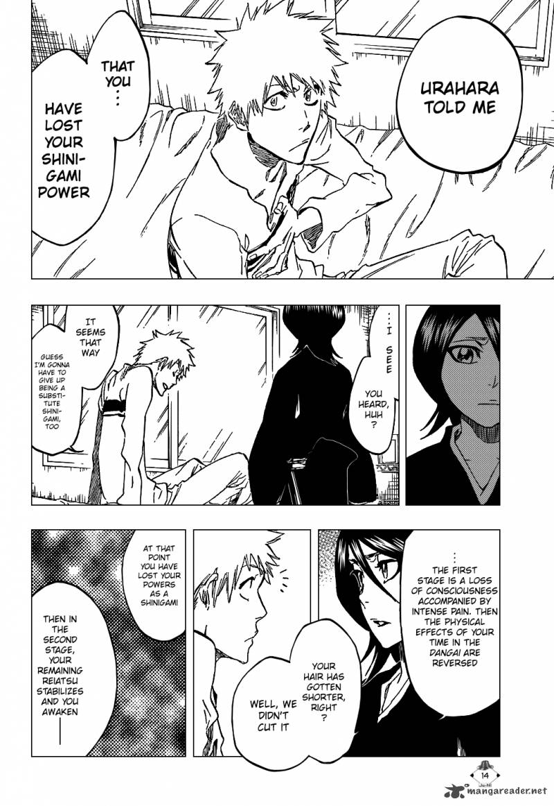 Bleach 423 17