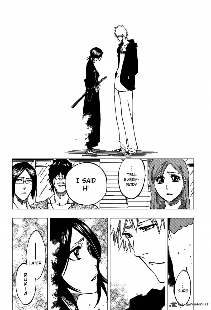 Bleach 423 21