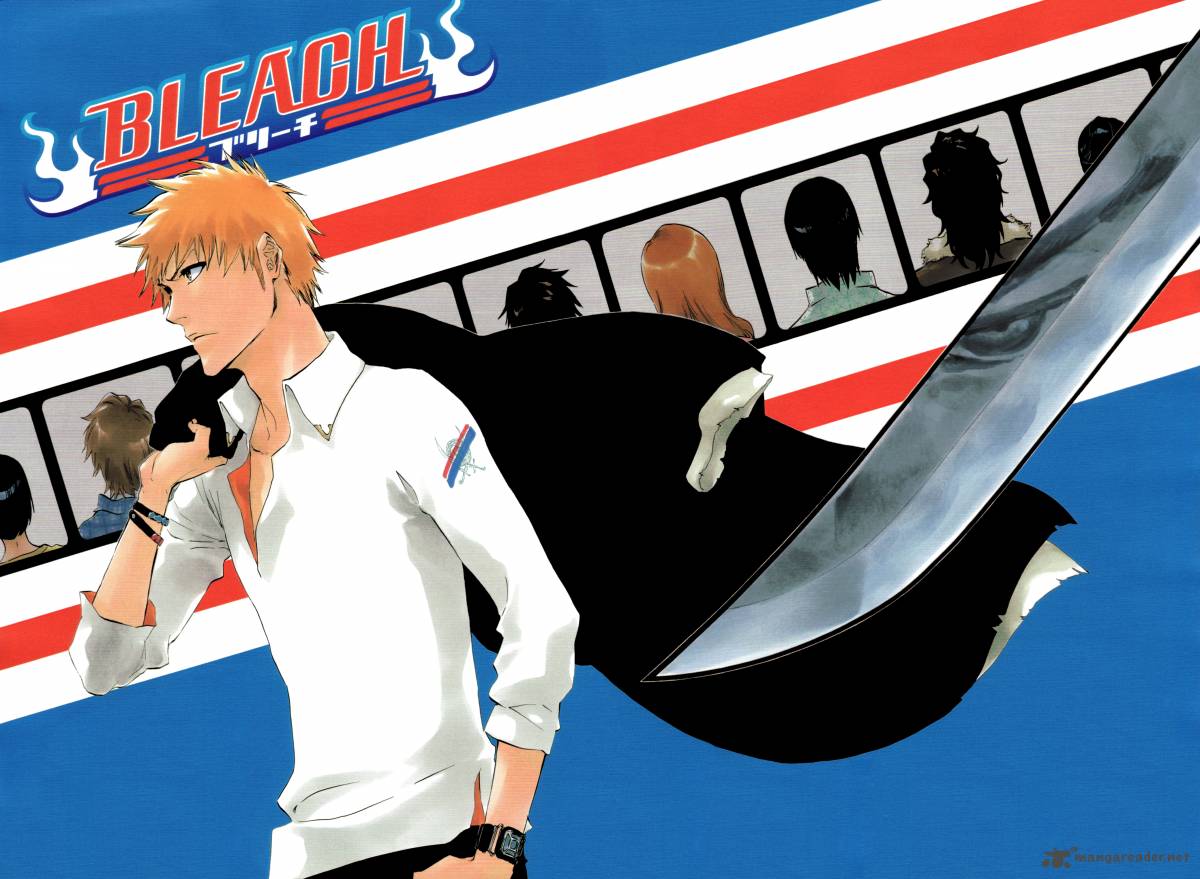 Bleach 424 25