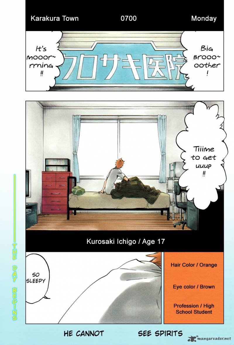 Bleach 424 4