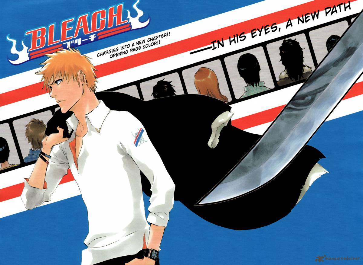 Bleach 424 5