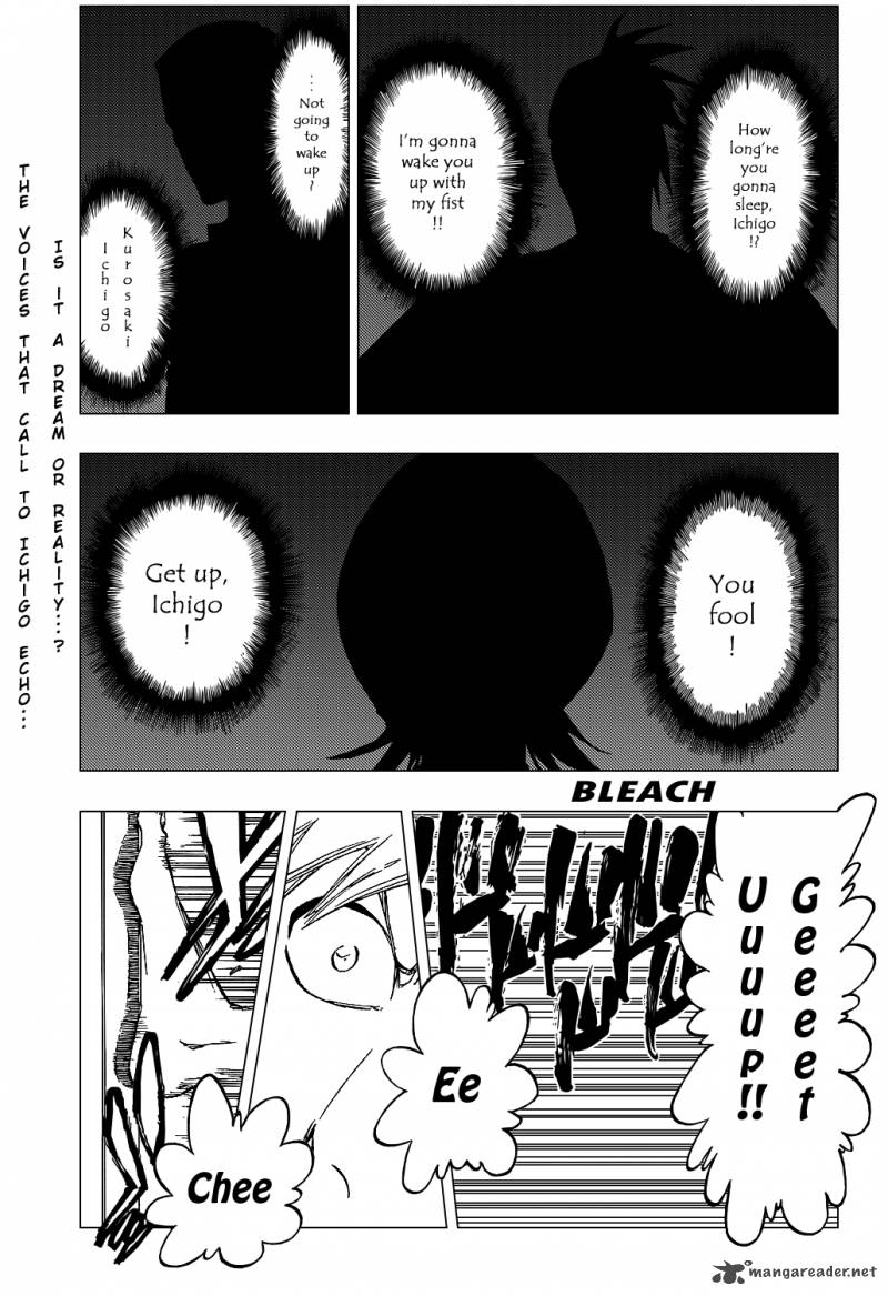 Bleach 425 4