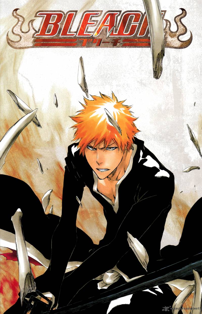 Bleach 428 26