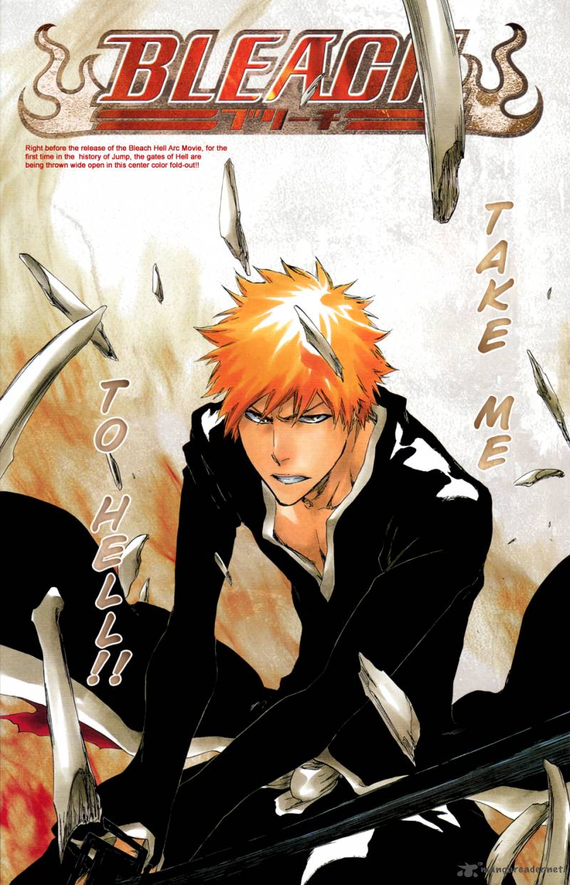 Bleach 428 4
