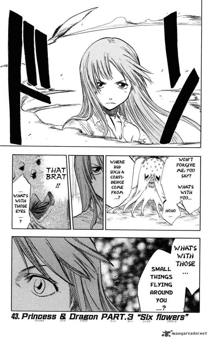 Bleach 43 1