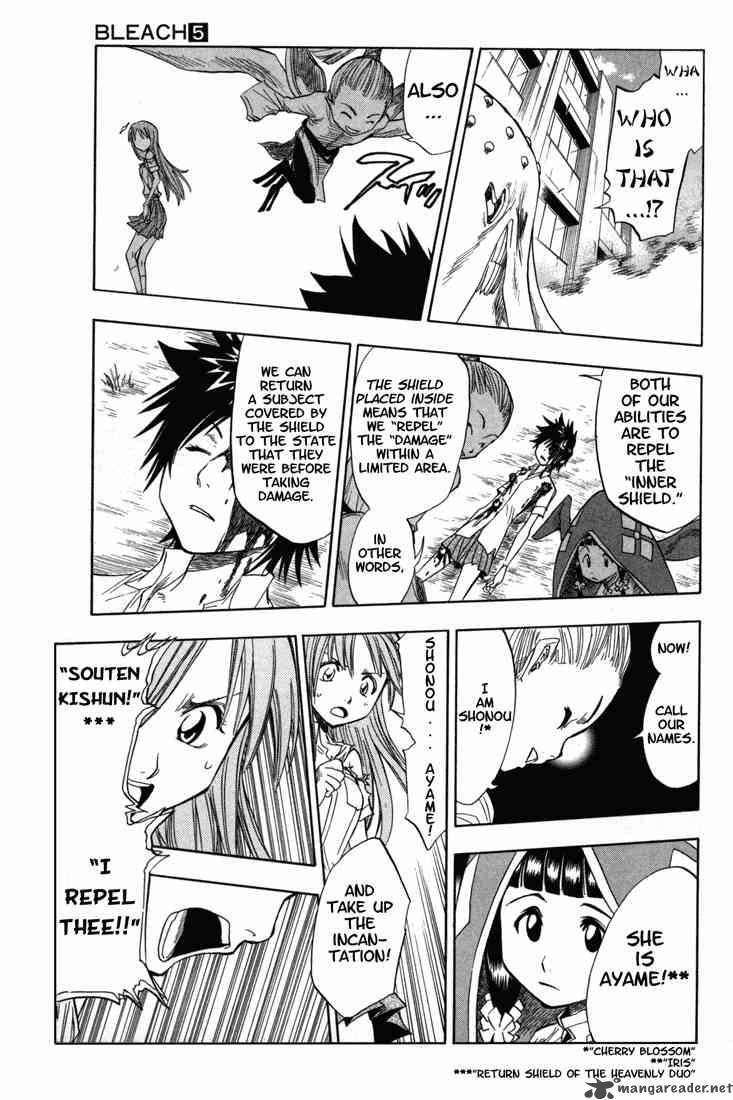 Bleach 43 13