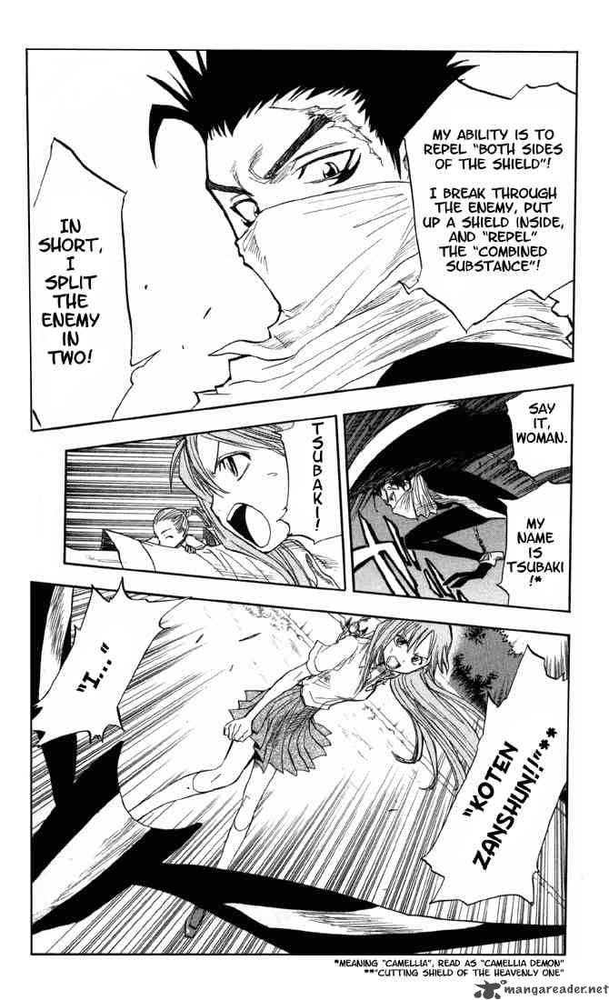 Bleach 43 15
