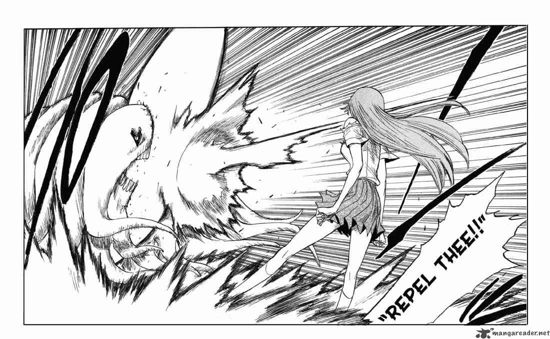 Bleach 43 16