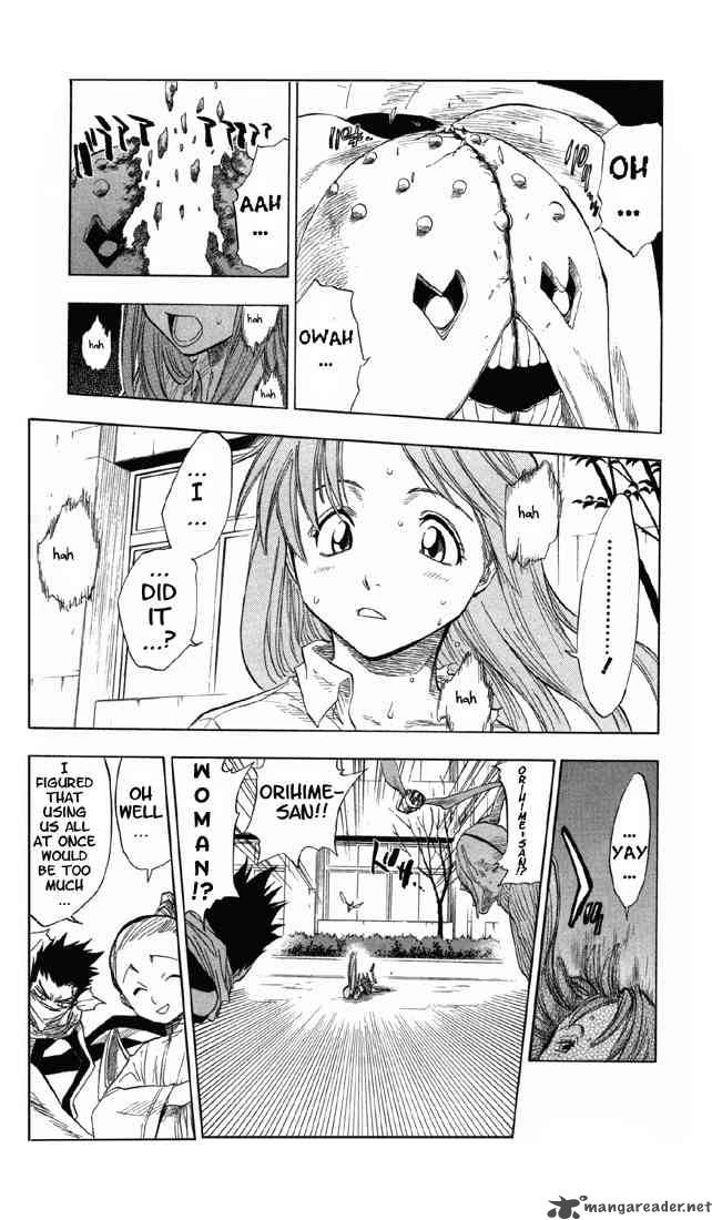 Bleach 43 17