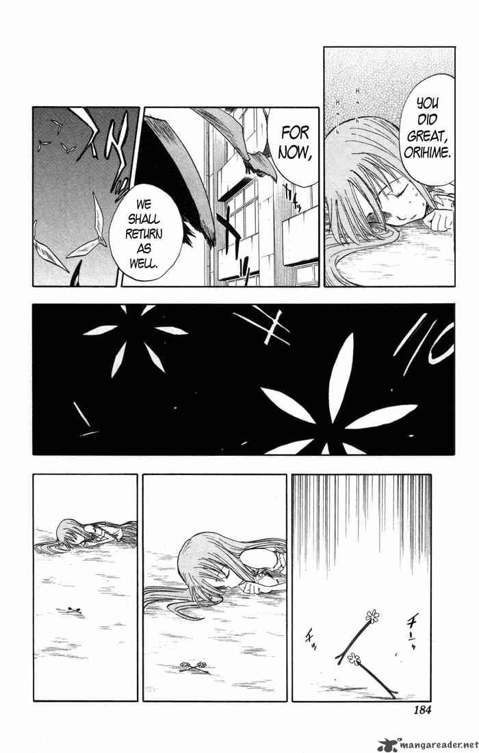 Bleach 43 18