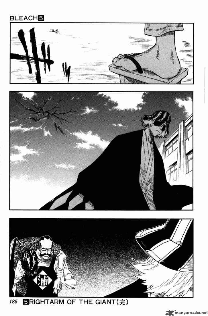 Bleach 43 19