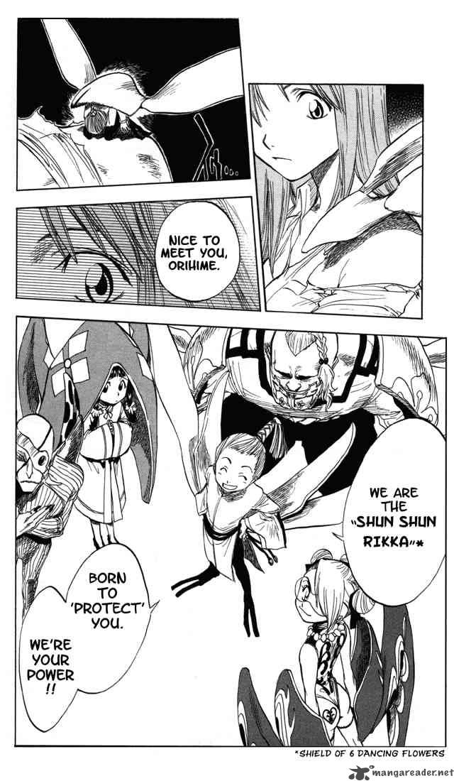 Bleach 43 4