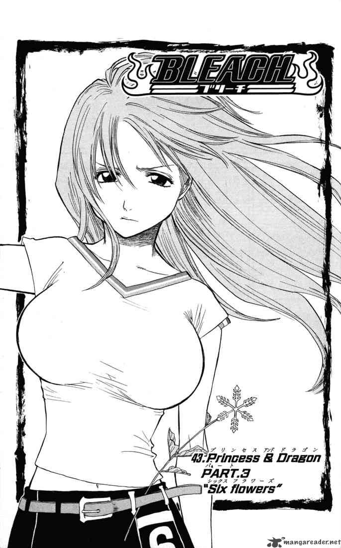 Bleach 43 5