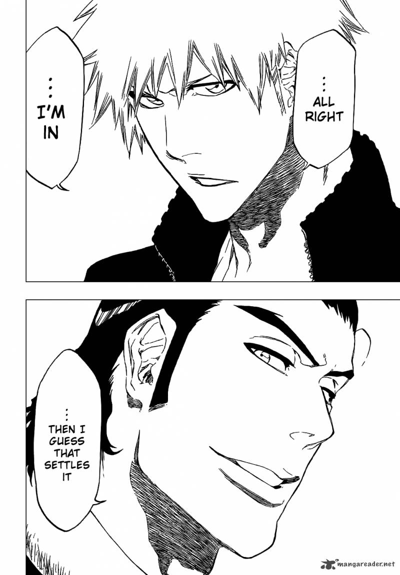 Bleach 433 20