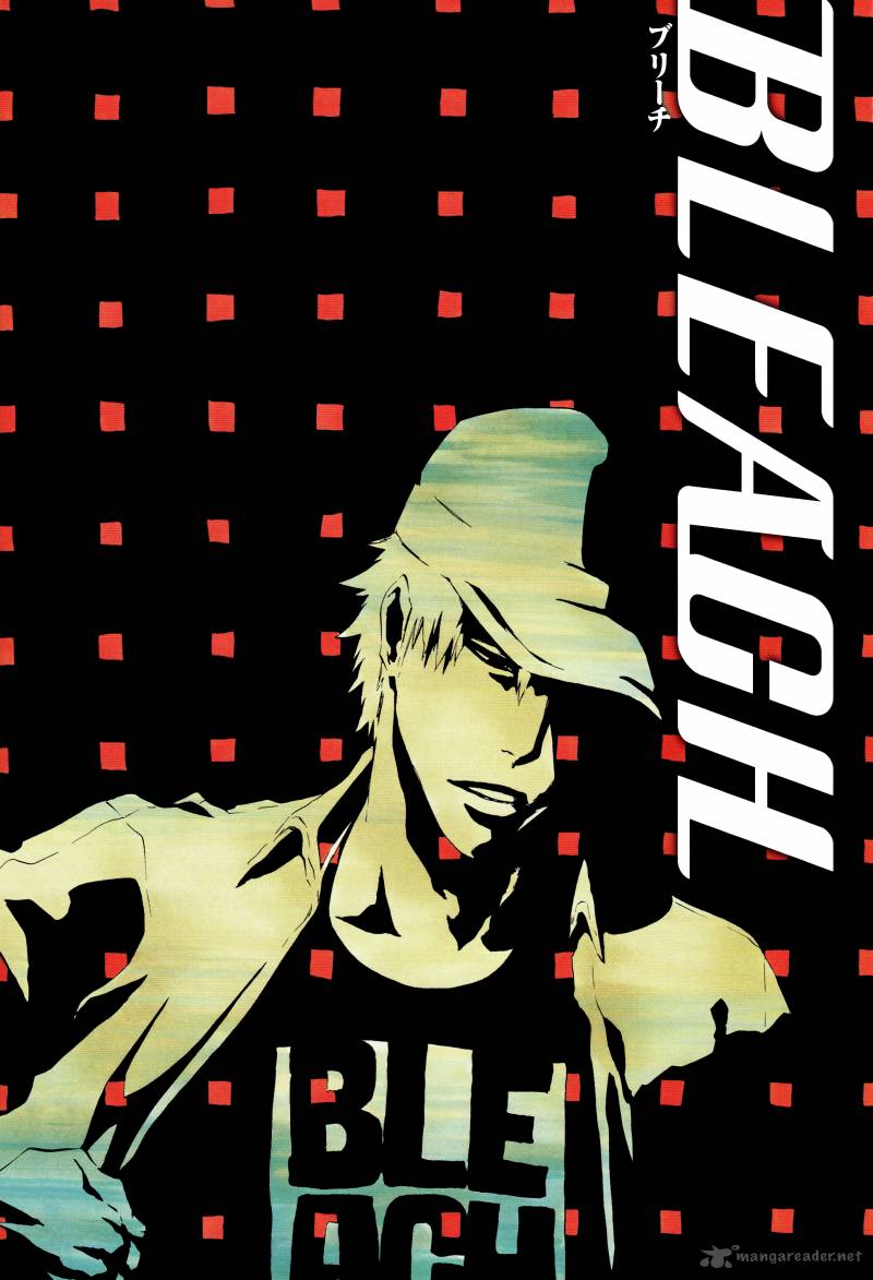Bleach 433 24