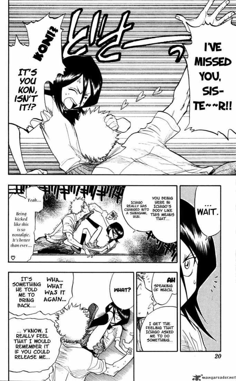 Bleach 44 15