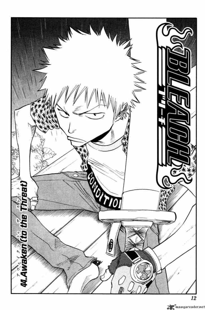 Bleach 44 7
