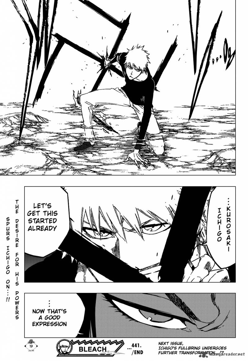 Bleach 441 22