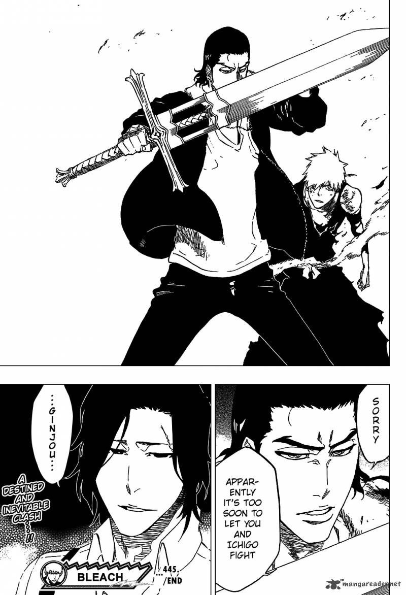 Bleach 445 22