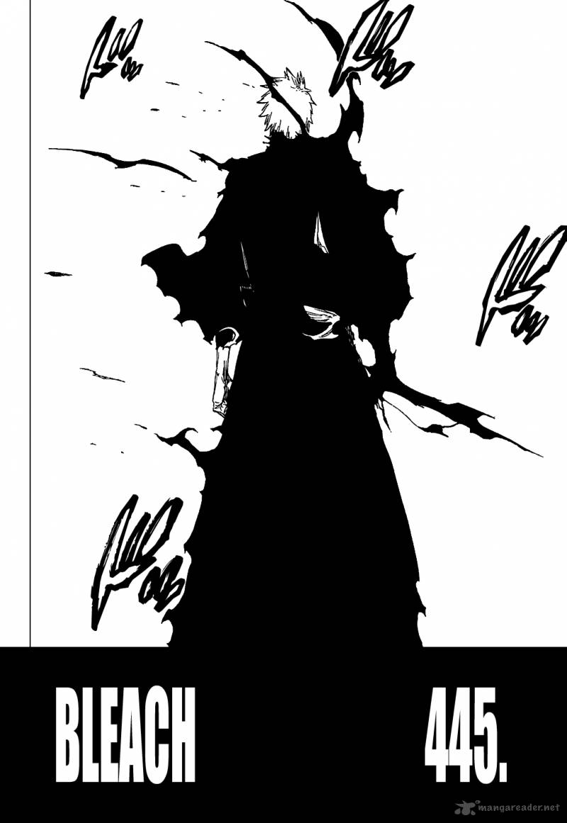 Bleach 445 5