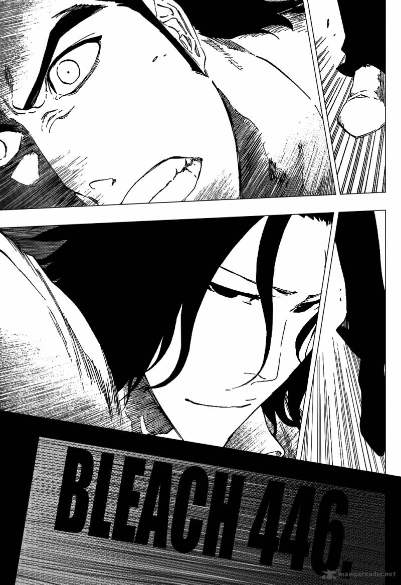 Bleach 446 10