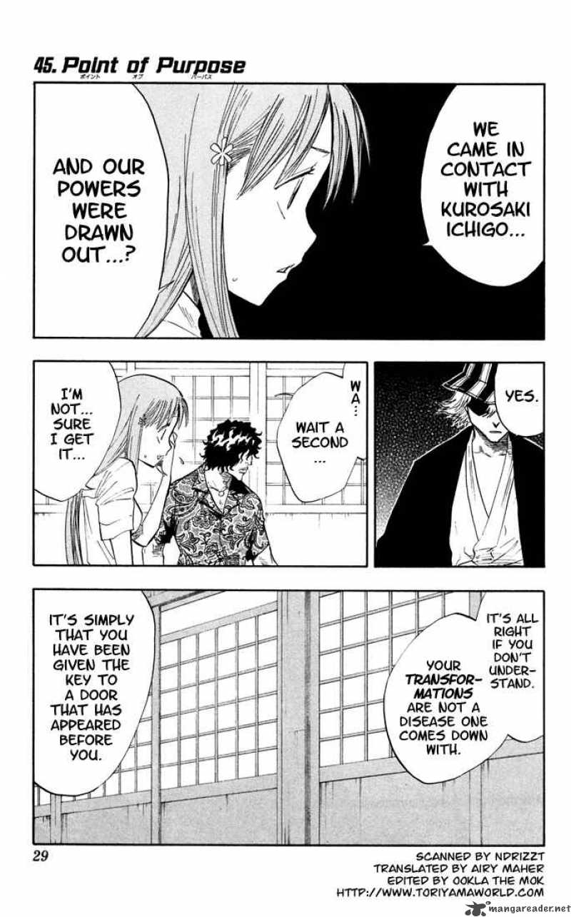 Bleach 45 1