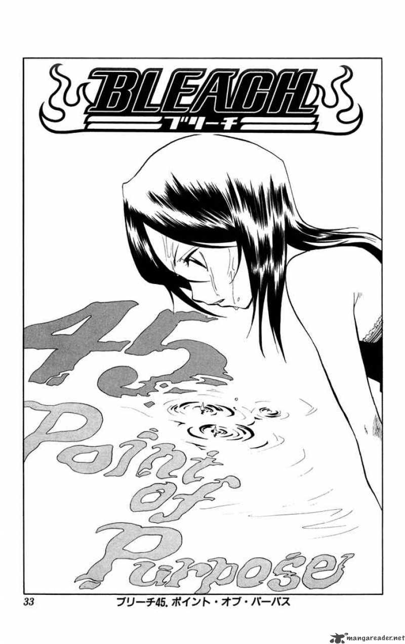 Bleach 45 5