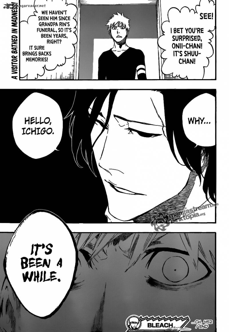 Bleach 452 19