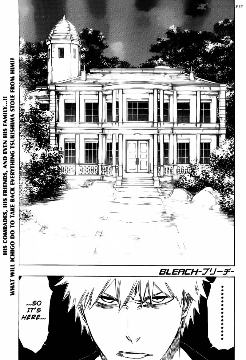 Bleach 455 1