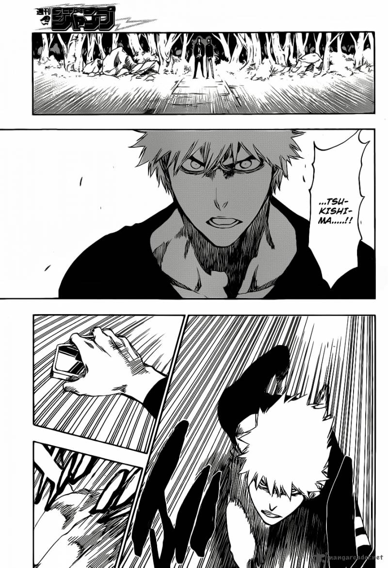 Bleach 455 3