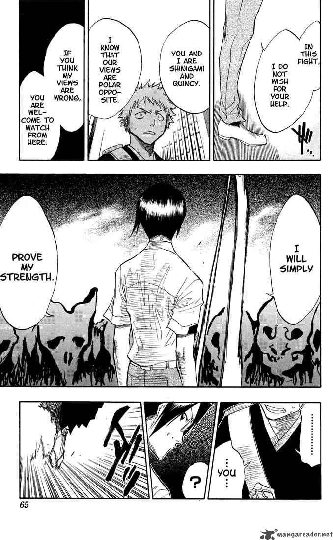 Bleach 46 17
