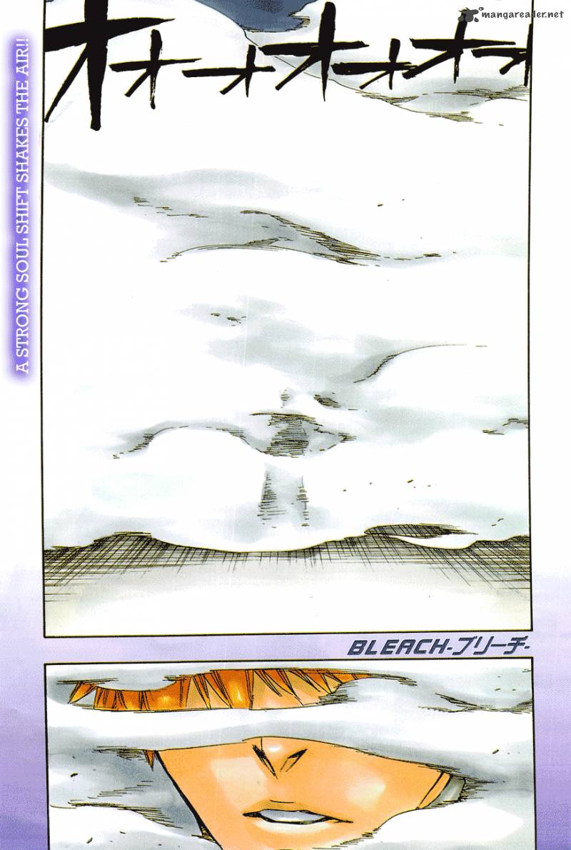 Bleach 460 2